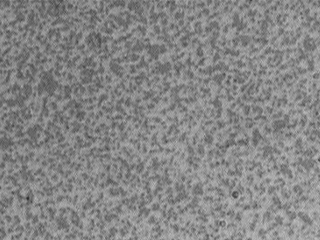 Silver Nickel Series (AgNi)